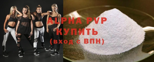 Альфа ПВП Бородино