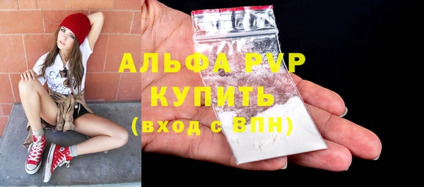 Альфа ПВП Бородино