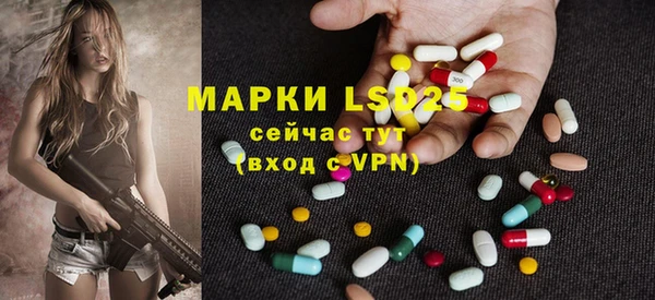 стафф Сосновый Бор