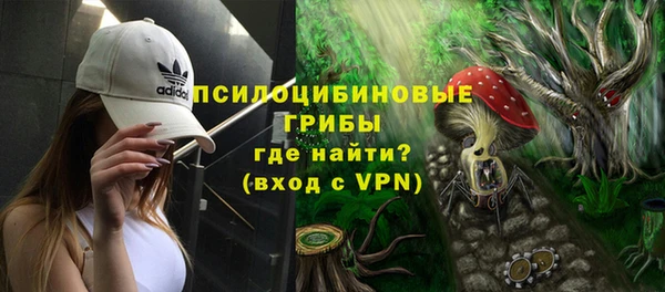 метадон Богданович